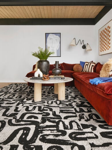Living room with FLOR Scenic Route area rug shown in Chalk/Black