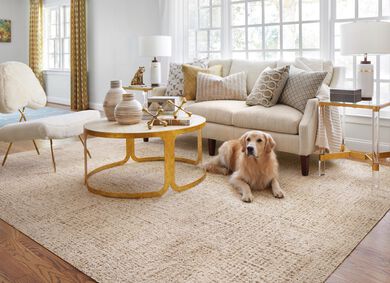 Pet Friendly Washable Rugs – Oh Happy Home