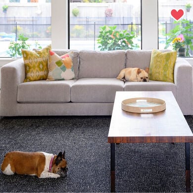 Hemline shown in Midnight