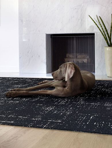 Dog lying in front of fireplace showing Tuxedo Pocket in Black