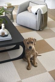 Two Step Signature Rug in Bone
