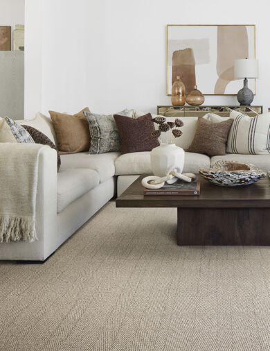 Living room with FLOR area rug Tweed Indeed shown in Dune