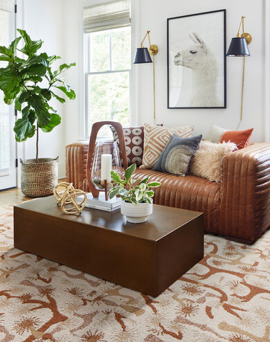 Living room with NEW FLOR Yucca Tree area rug shown in Copper