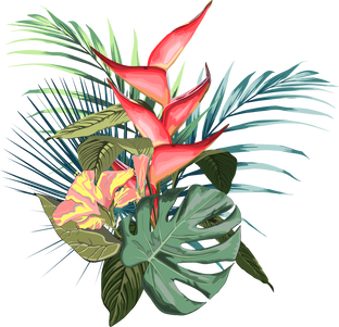 Tropical Flowers