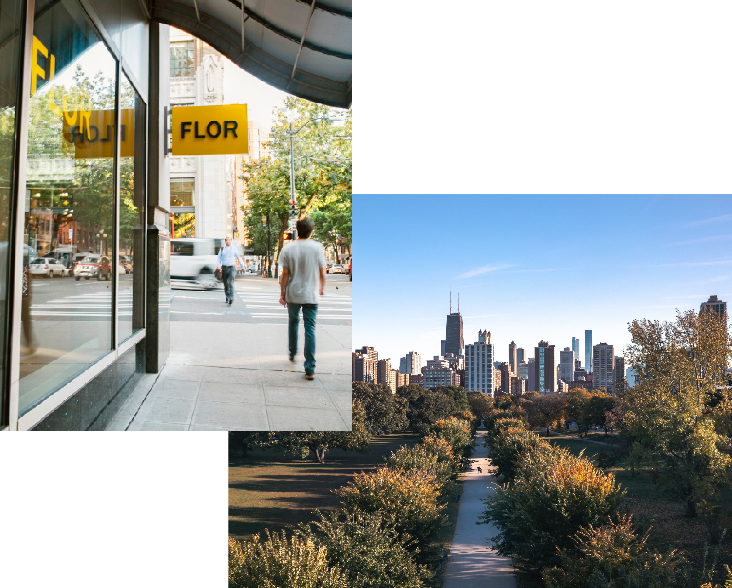 Chicago Storefront and cityscape