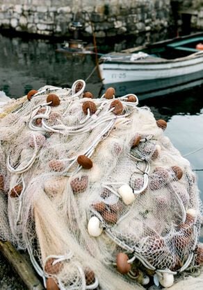 Image of a worker pulling fishing nets from the water with plants