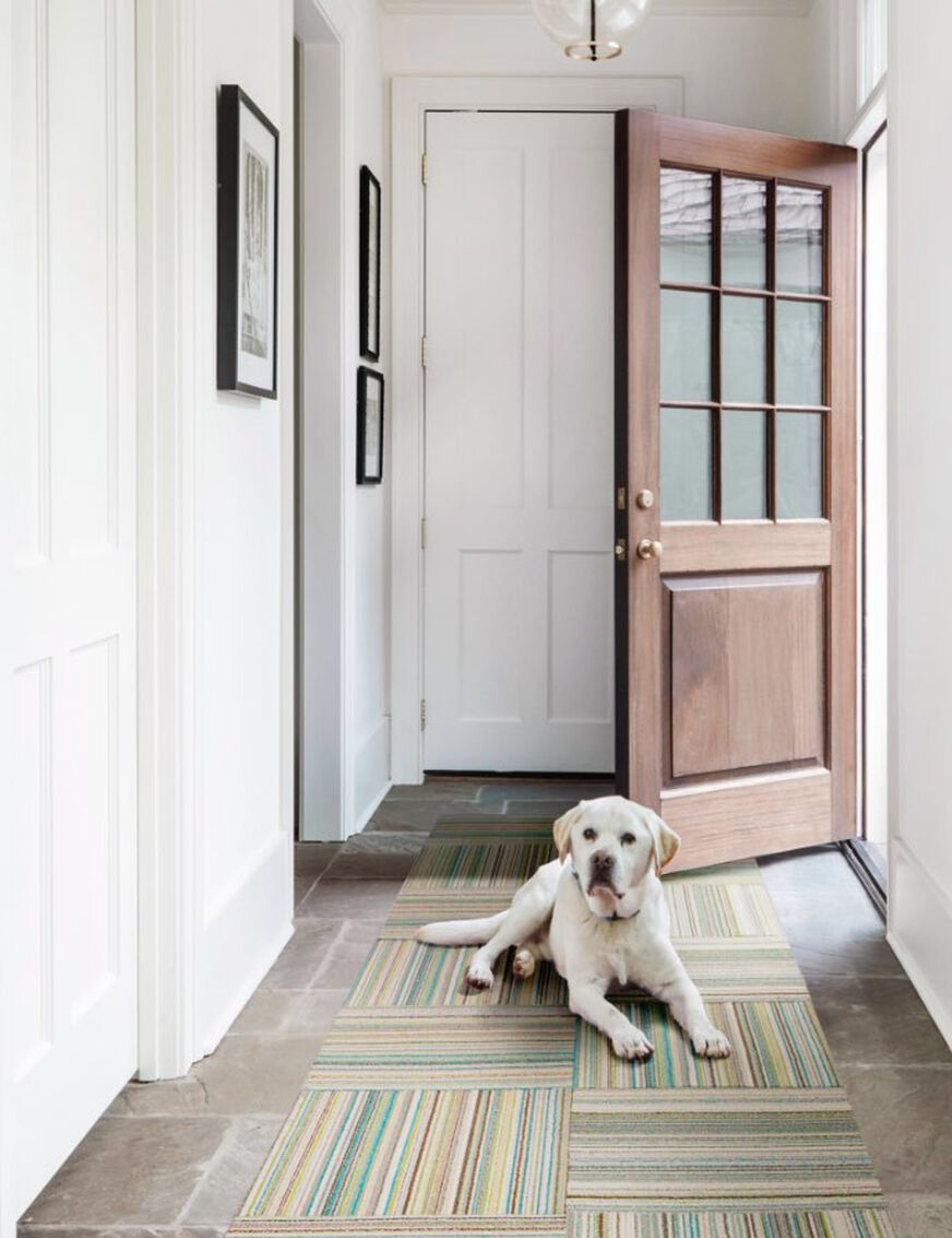 Dog in entryway showing Fall In Line in Jade