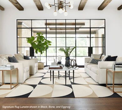 Living room with Signature Rug Lunaire
