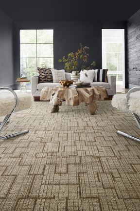 Living room with NEW FLOR Terra Nova area rug shown in Topaz
