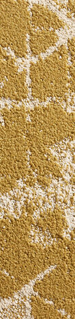 Seeing Stars shown in Dijon carpet tile