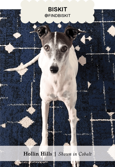 Biskit with Hollin Hills shown in Cobalt