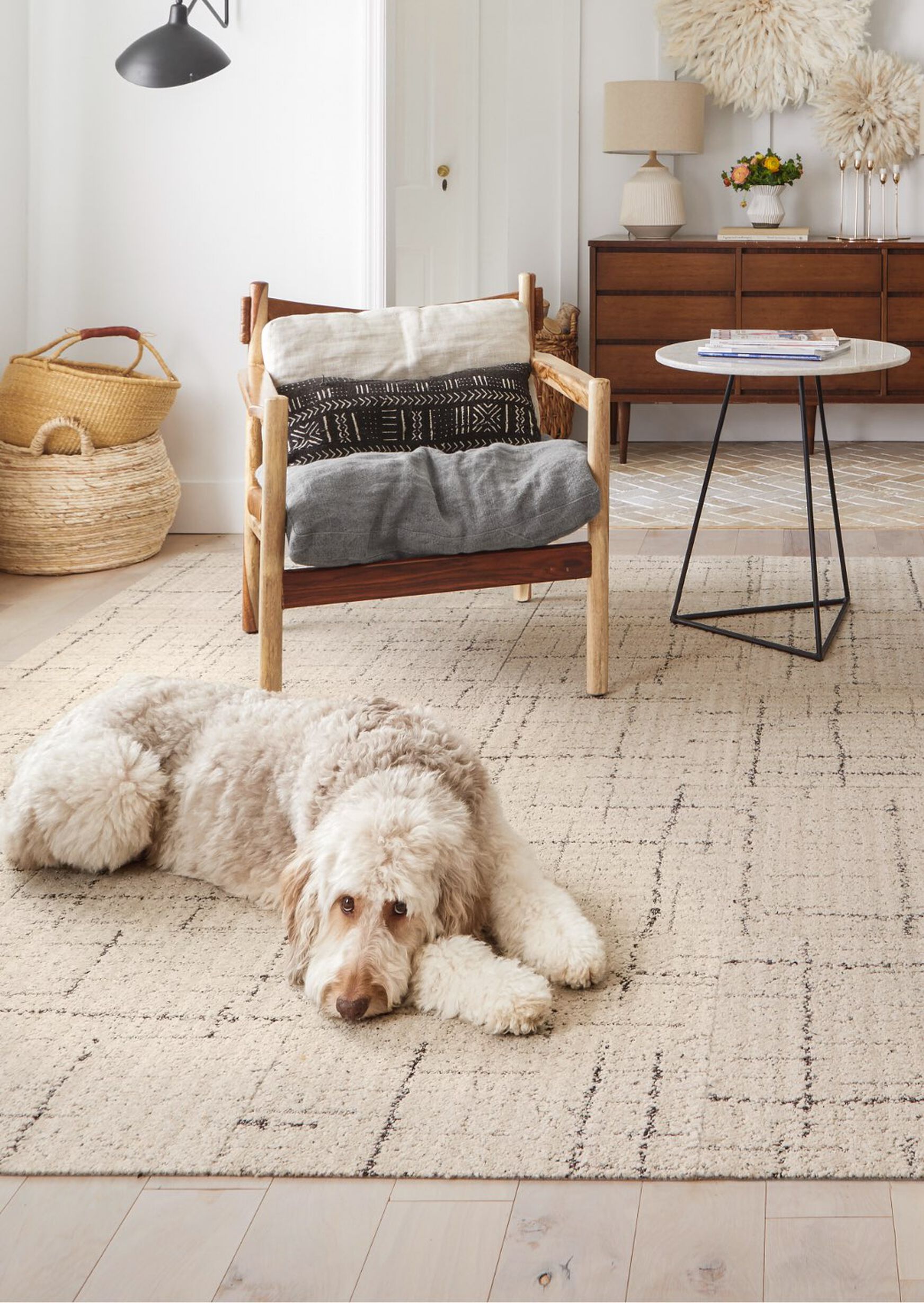 Pets Designs Rug Modern & Stylish Pet-Friendly Washable Area Rug Ideas