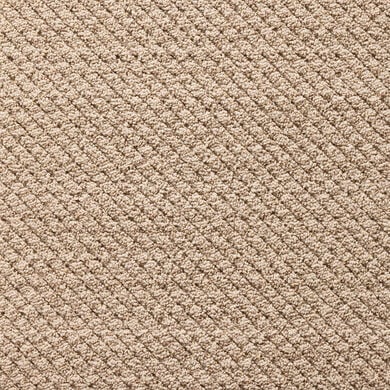 Roadside Attraction shown in Jute