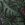 Frond Of You