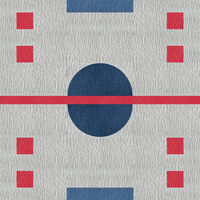 Hockey Rink Rug - Frost - 10x12