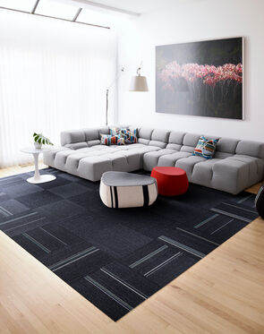 Level Setting - Black