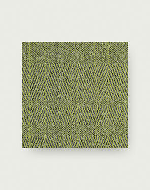 Tweed Indeed - Kiwi
