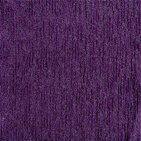 Made You Look - Purple