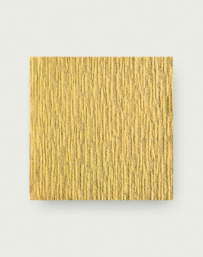 Made You Look - Maize