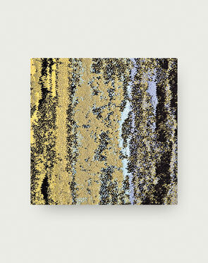 Cambium