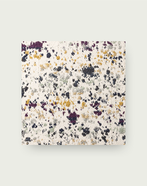 Painter's Palette - Lichen