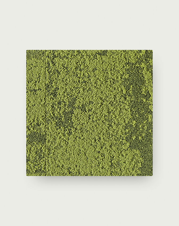Down to Earth - Grass Down to Earth - Grass