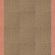 Raffia / Coral
