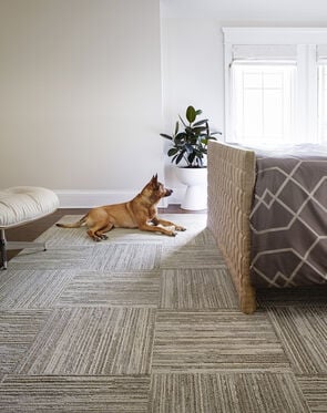 Fully Barked - Beige: Striped Area Rugs & Carpet Tiles by FLOR