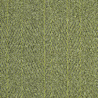 Tweed Indeed - Kiwi