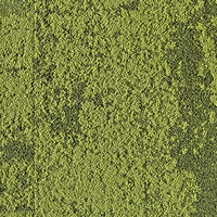 Down To Earth - Grass