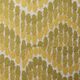 Maize