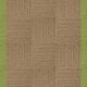 Raffia / Kiwi