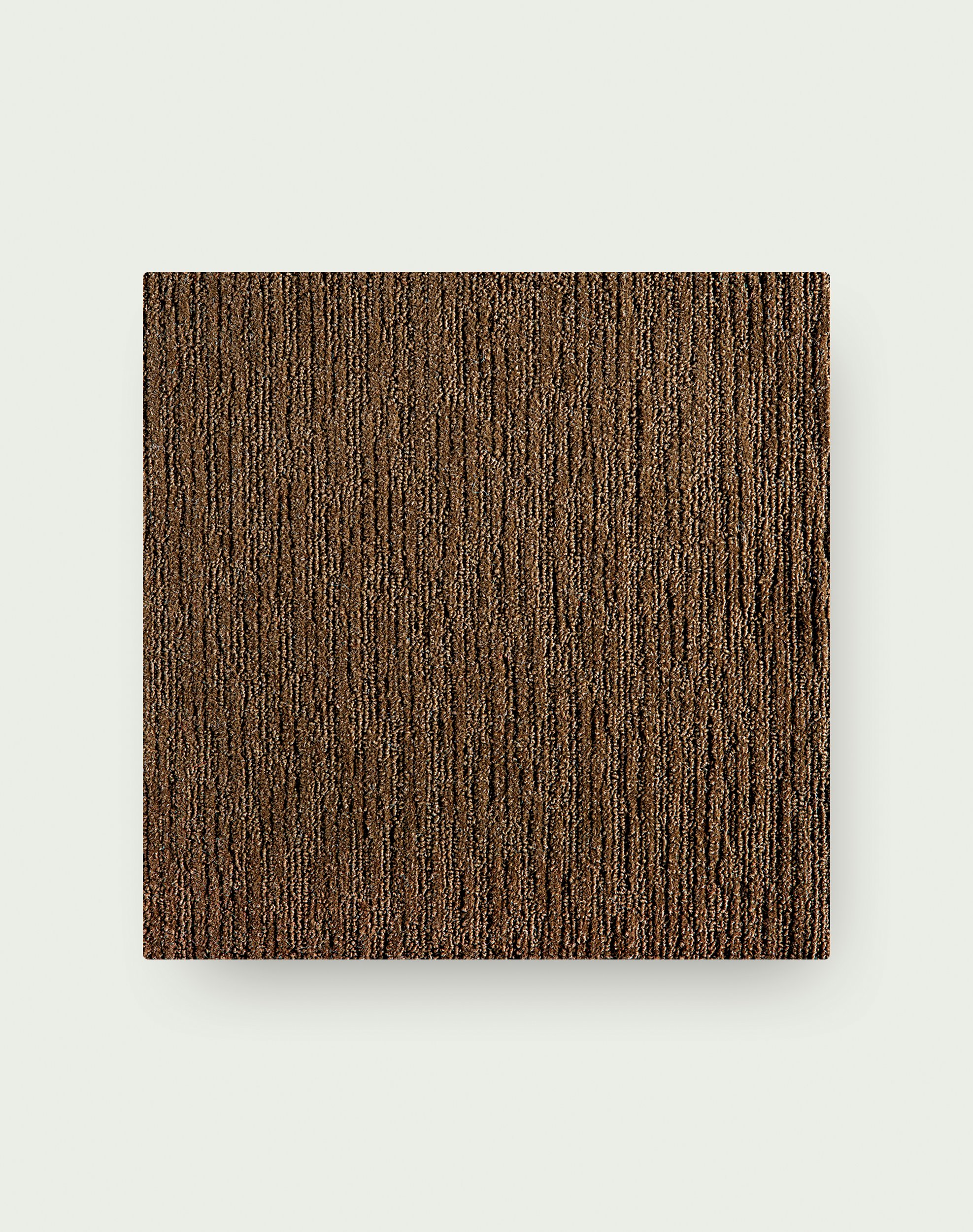 Made You Look - Bark