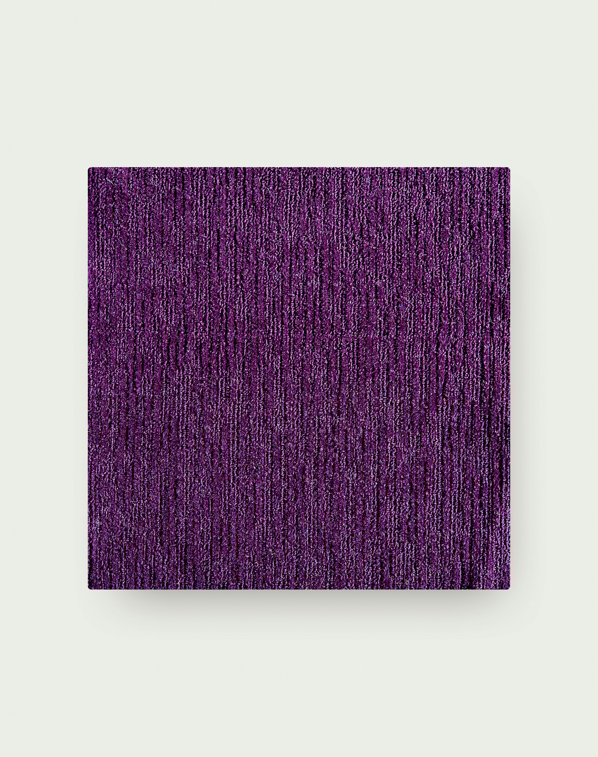 Made You Look - Purple