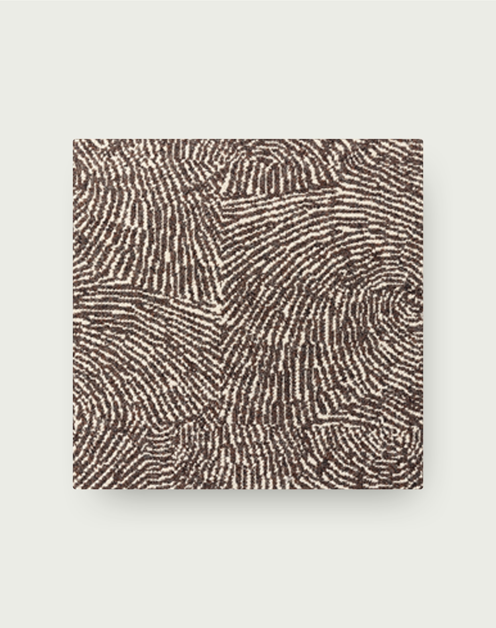 Spiral Out - Cocoa