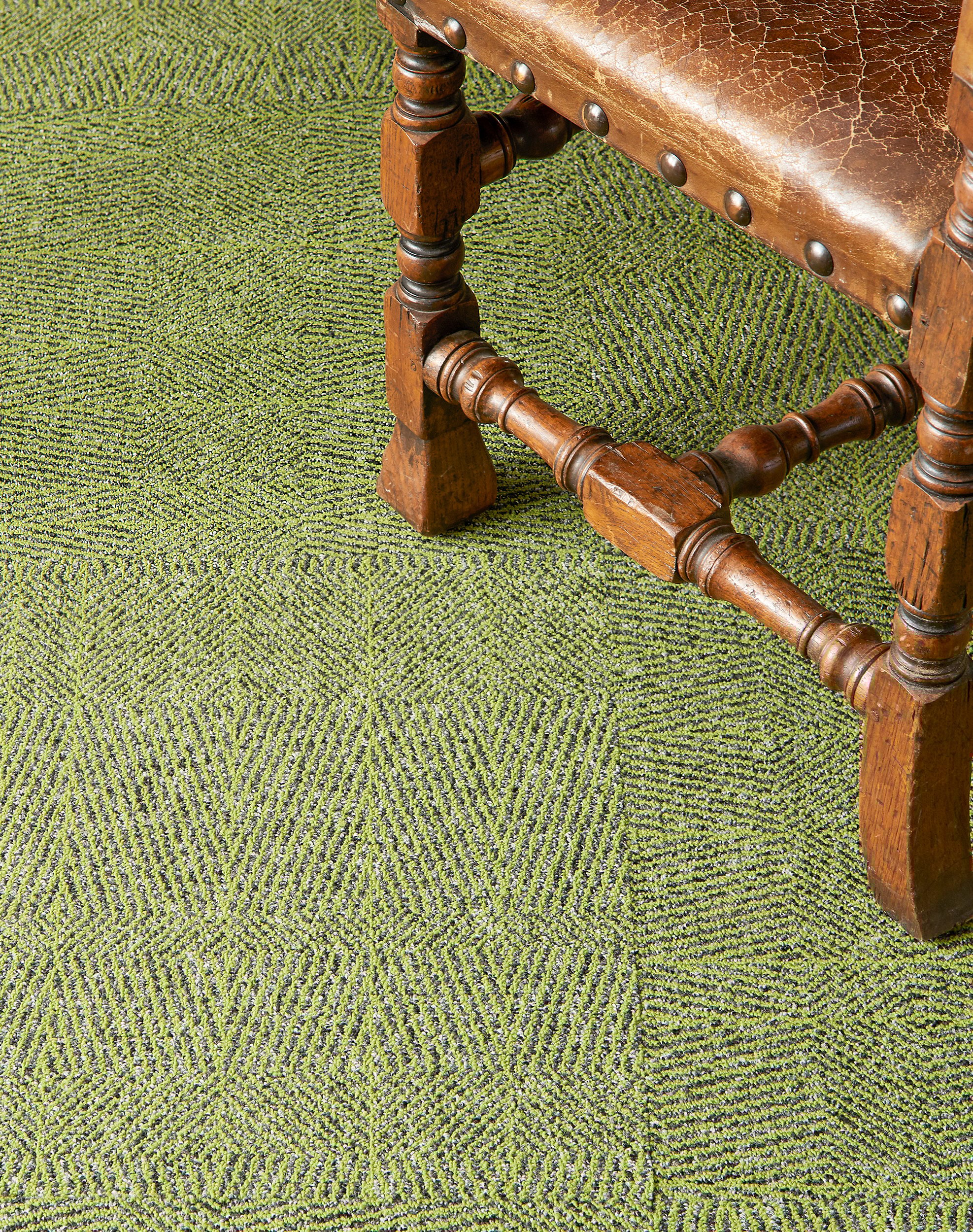 Tweed Indeed - Kiwi