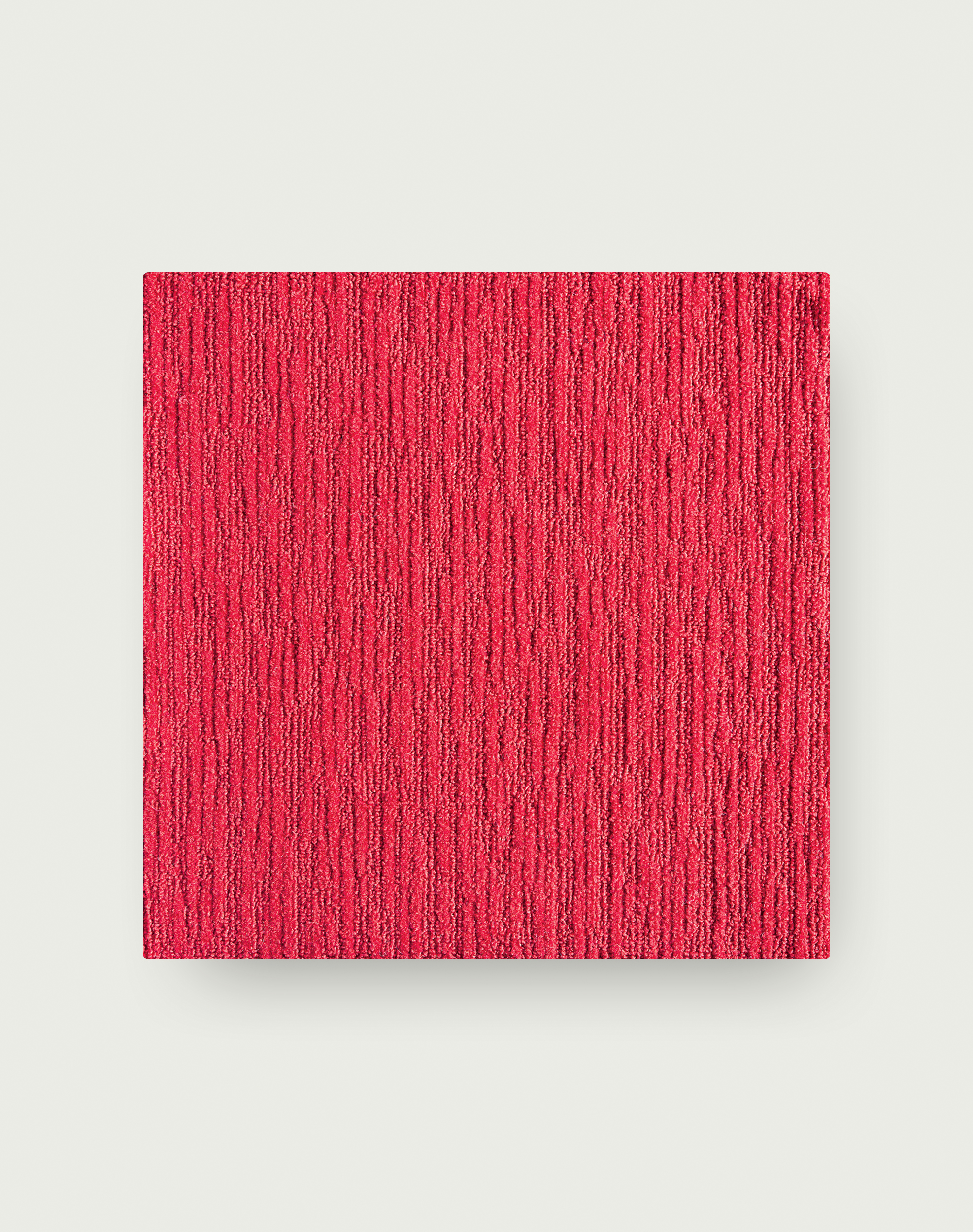 Made You Look - Persimmon