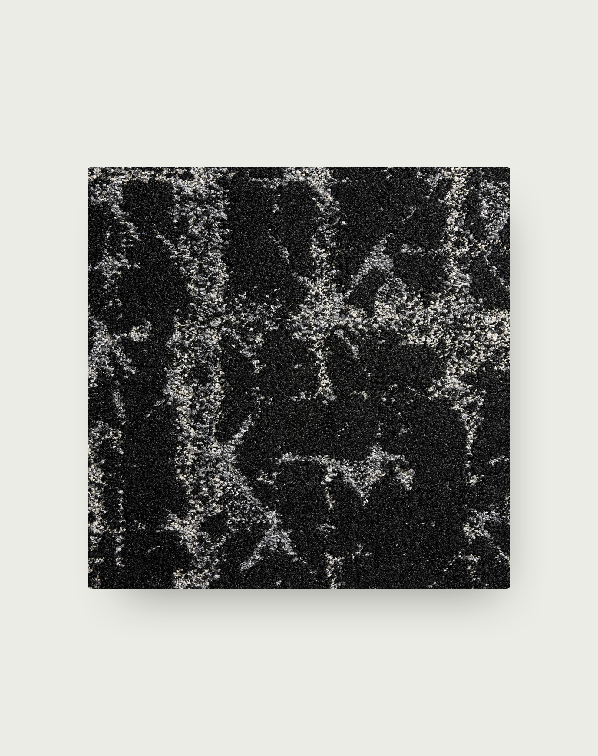 Seeing Stars - Black
