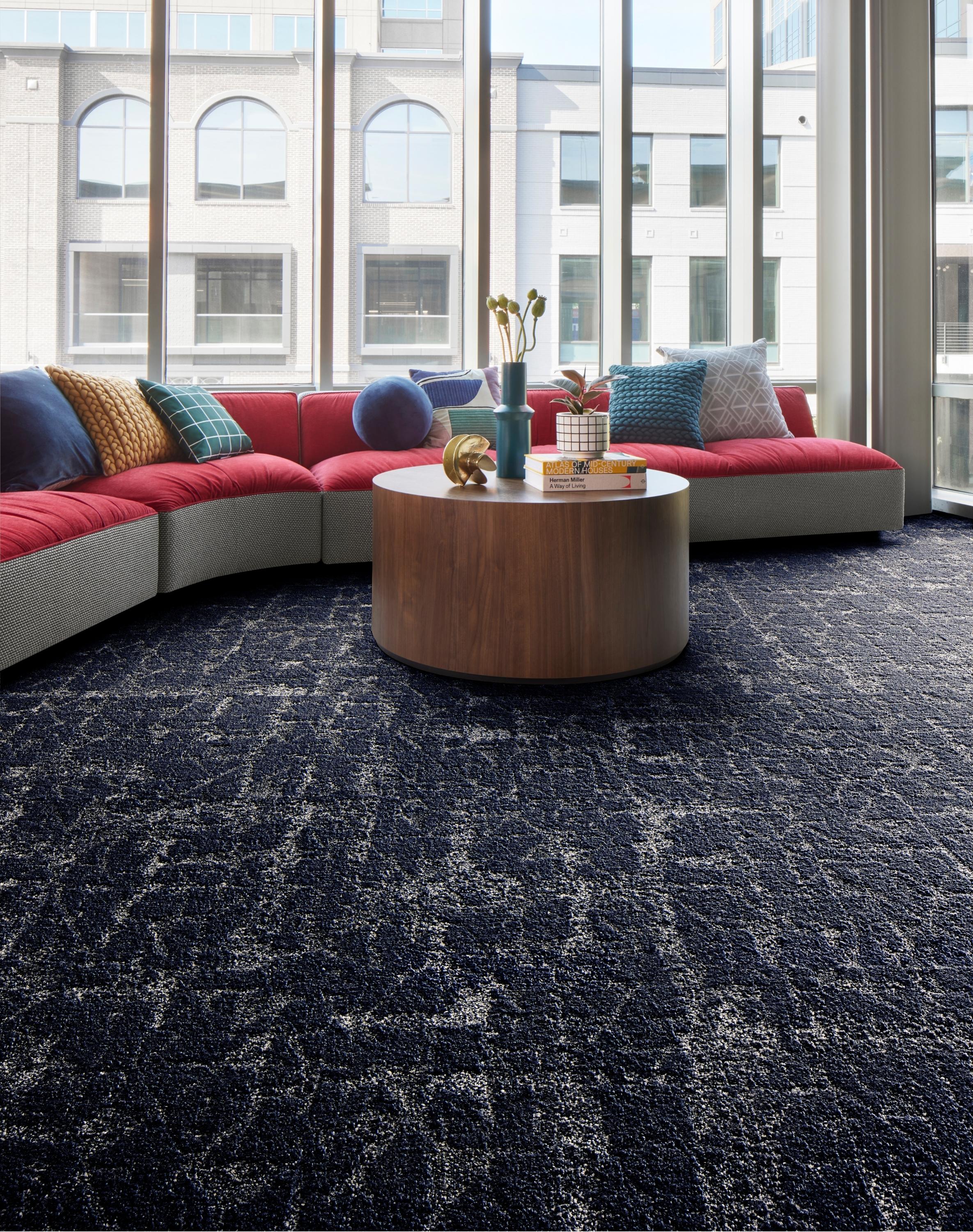 Seeing Stars - Baltic