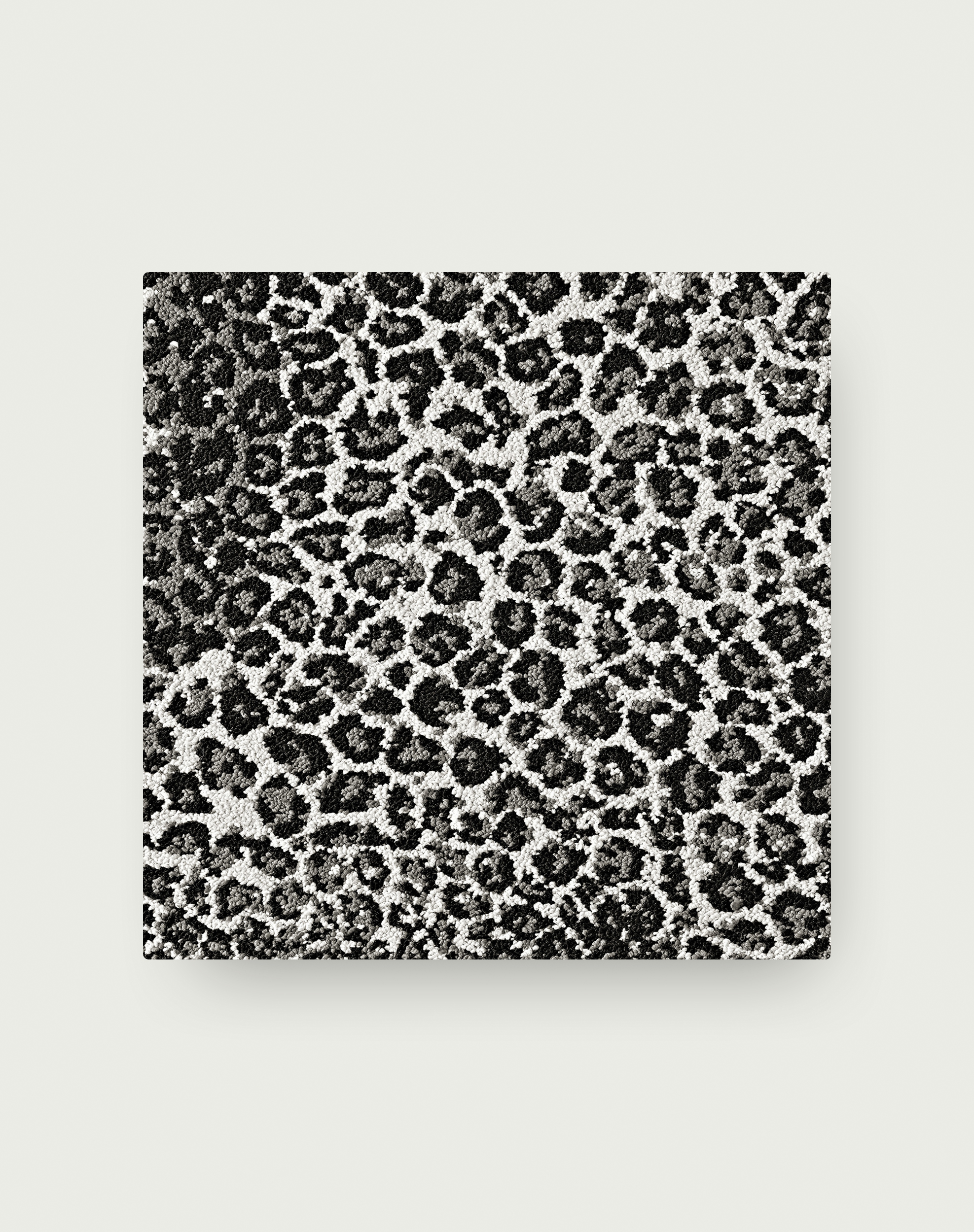 Spot On - Black