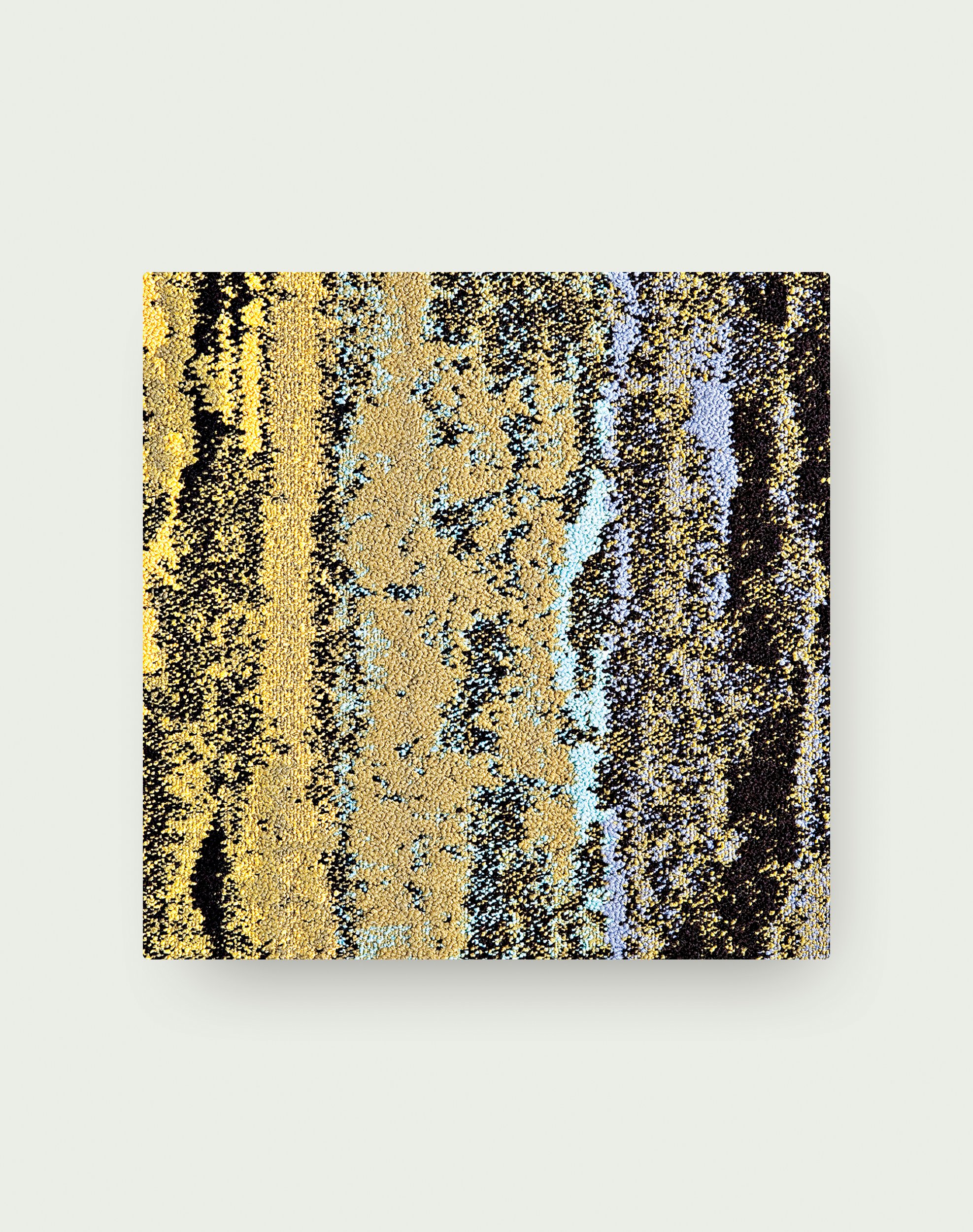 Cambium