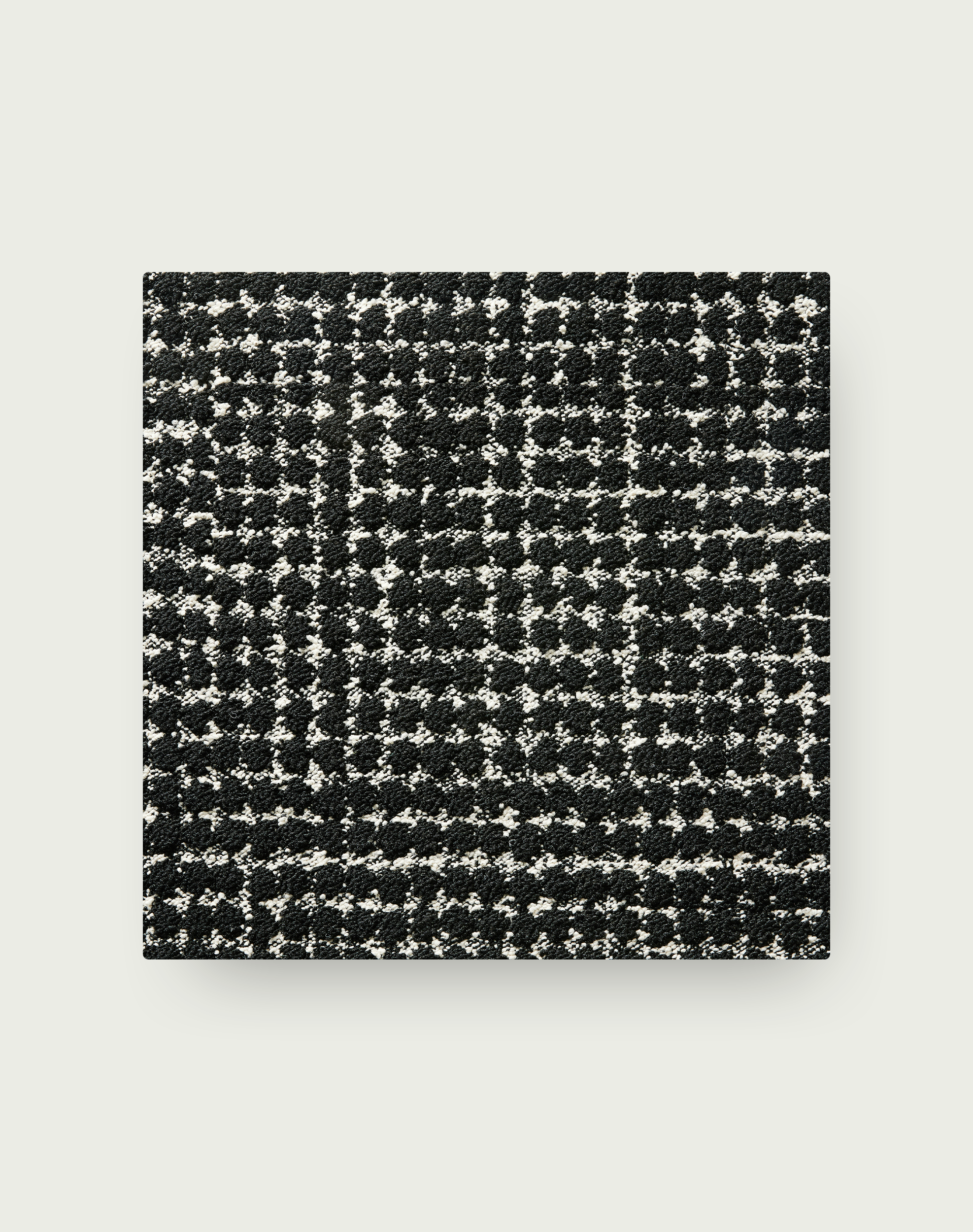 Penny For Your Thoughts - Bone / Black