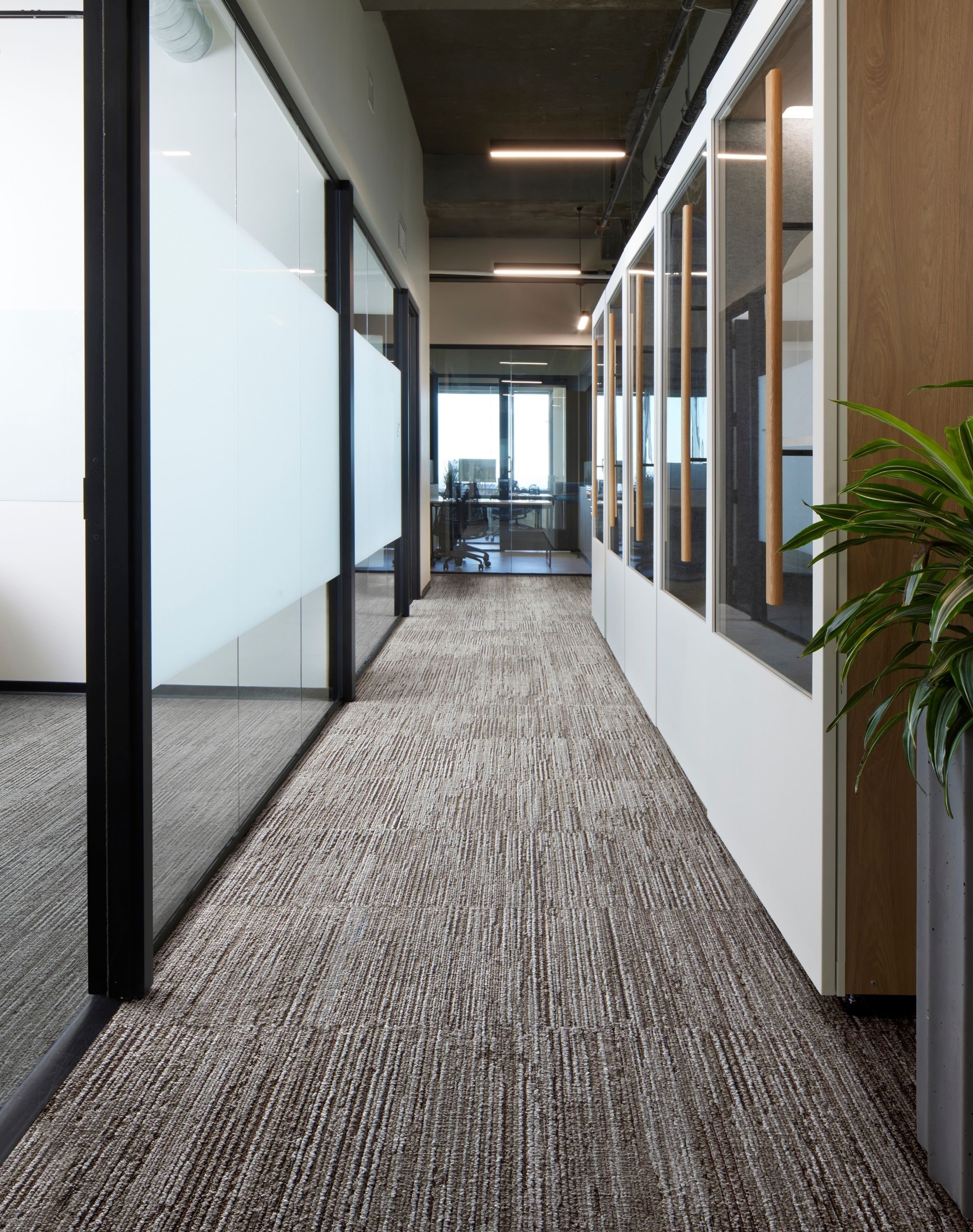 Fully Barked - Titanium