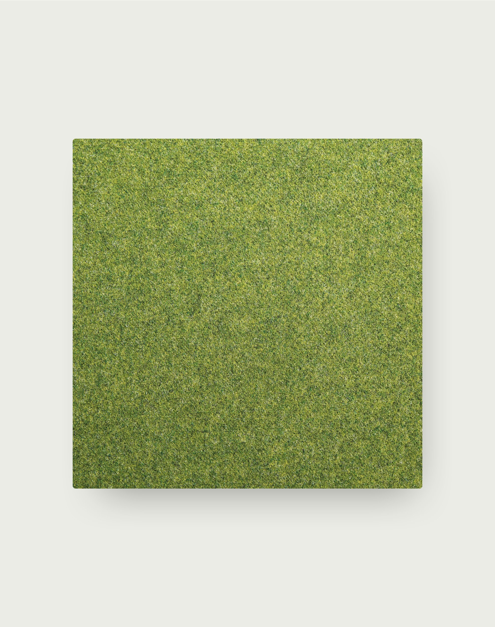 Industrious - Lime