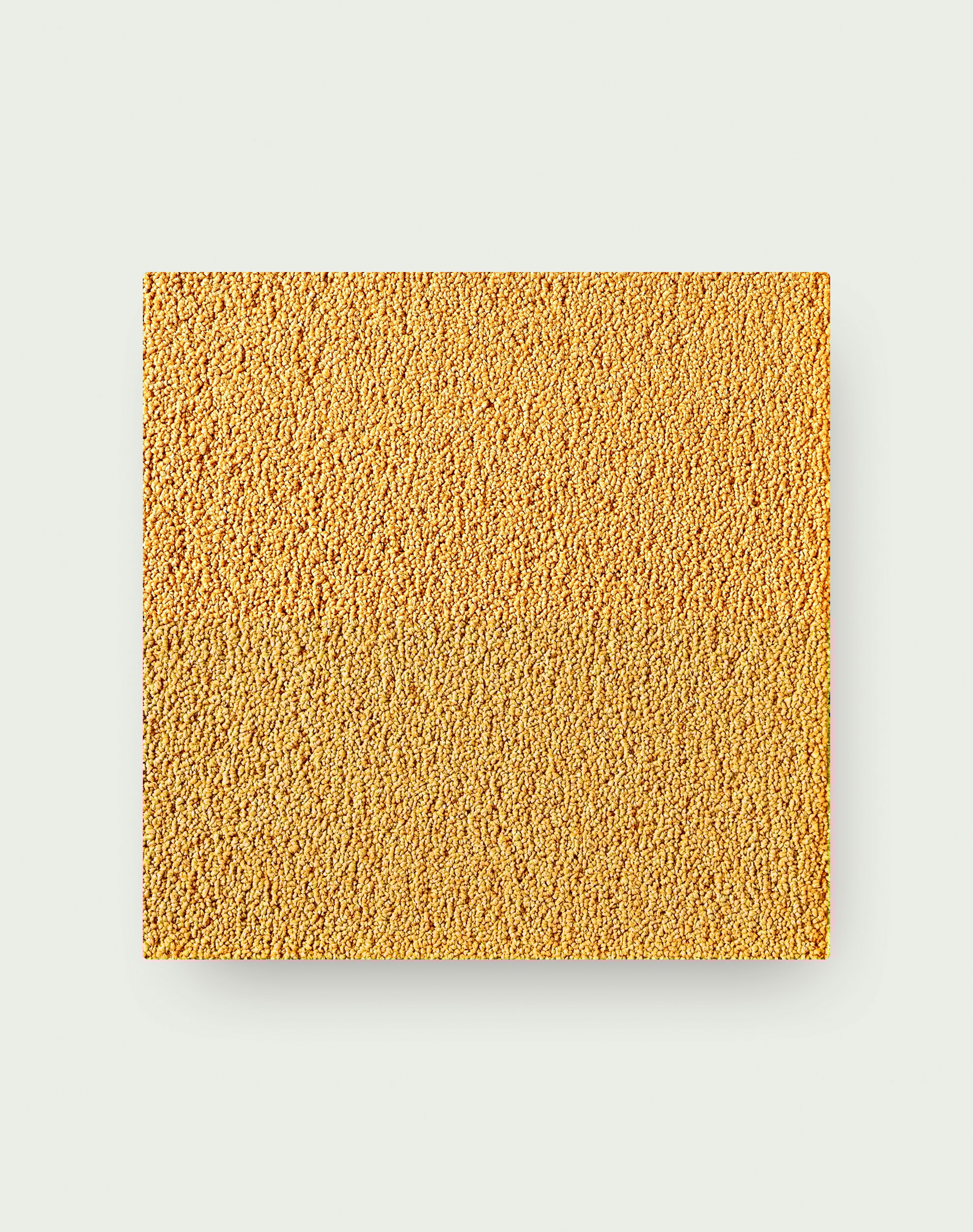 Heaven Sent - Marigold